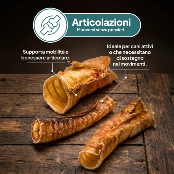 Trachee di Bovino Essiccate