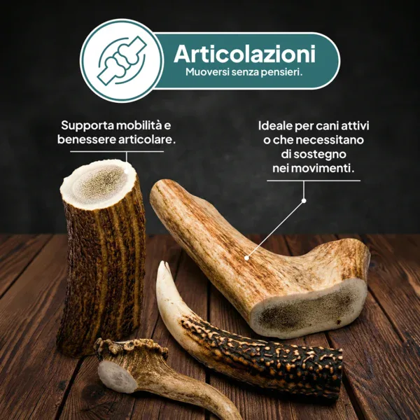 Trachee di Bovino Essiccate