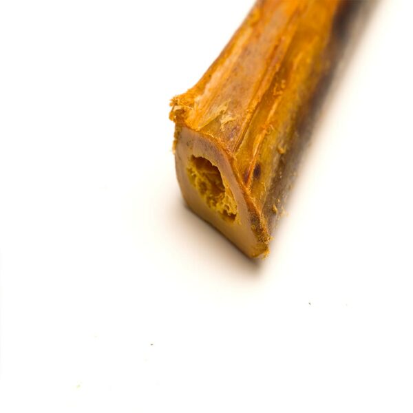 Tibia di Struzzo