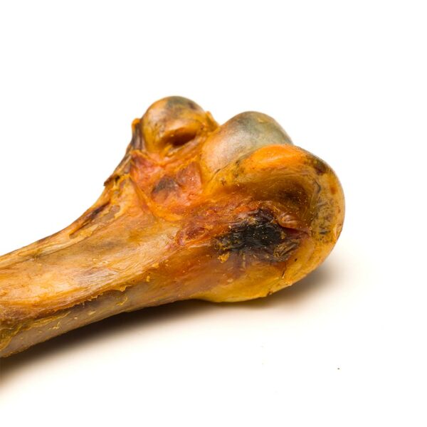 Tibia di Struzzo