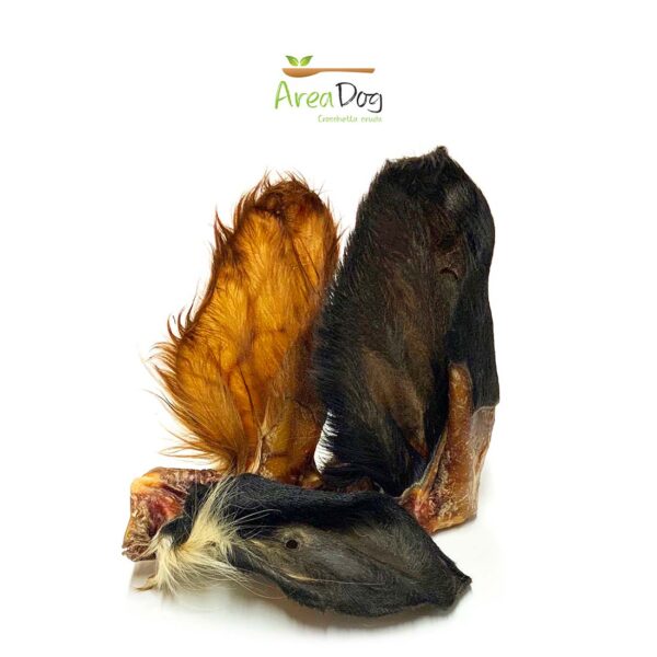 100 Marchi Auricolari Per Animali - TPU Atossico, Per Bovini, Capre, Maiali - Foto 11