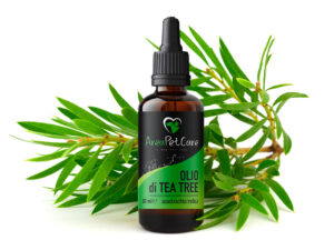 Tea Tree Oil: usi e benefici.