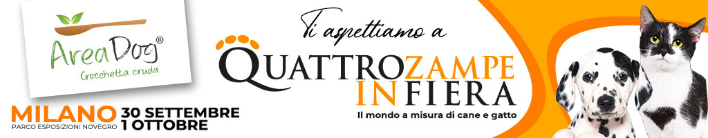 4 Zampe in Fiera