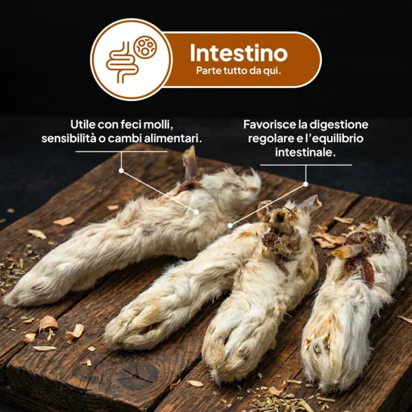 Zampe di Coniglio con Pelo