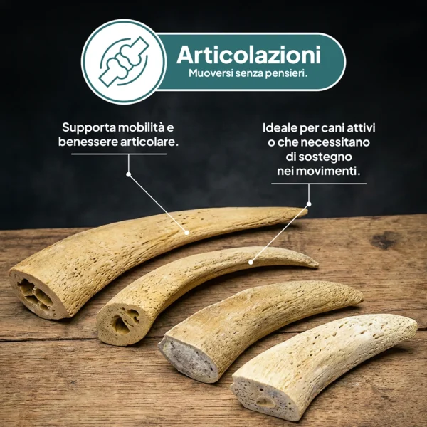 Cuore di Corno di Bufalo