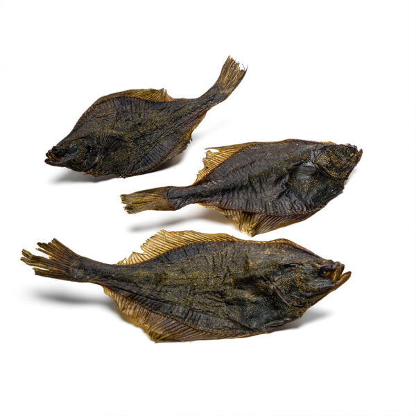 Platessa Essiccata