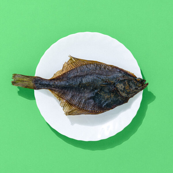 Platessa Essiccata