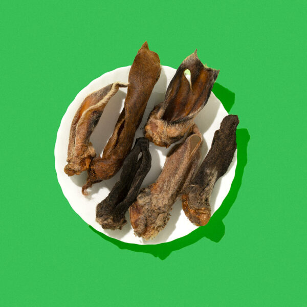 Orecchie di Agnello con Pelo
