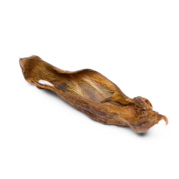 Orecchie di Agnello con Pelo