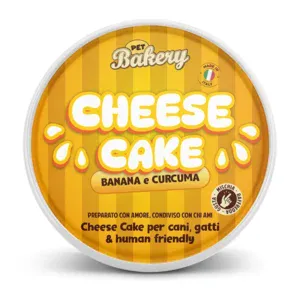 Cheesecake a base di Banana e Curcuma