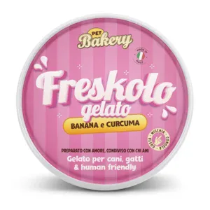 Freskolo Gelato a Base di Banana e Curcuma