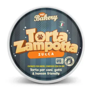 Torta Zampotta a base di Zucca