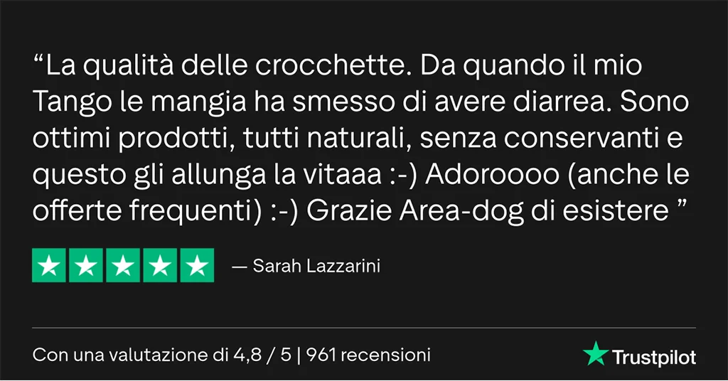 Cosa dicono i clienti: la voce dell’esperienza Cosa dicono i clienti: la voce dell’esperienza