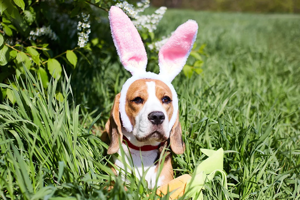 Supporti per tutti i gusti