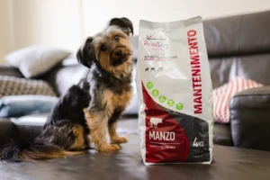 Cambio dieta nel cane: guida completa per un passaggio ottimale