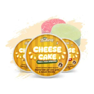 Cheesecake Kit