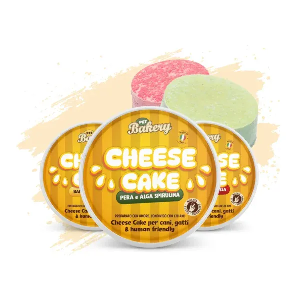 Cheesecake Kit