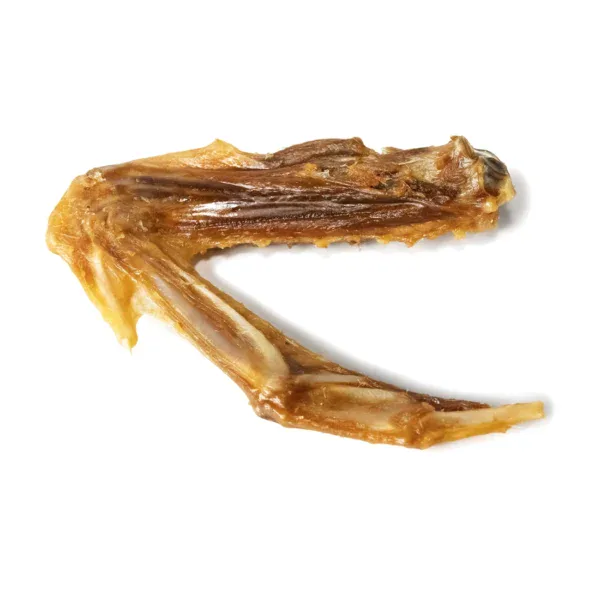 Ali d'Anatra