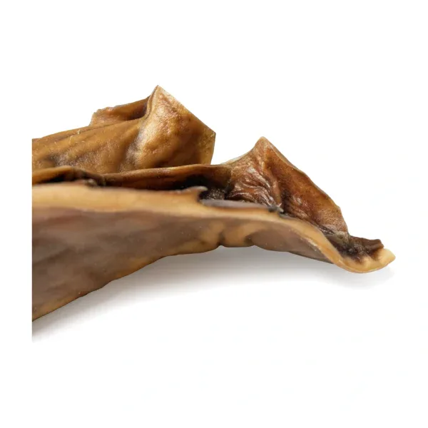 Pelle di Cammello