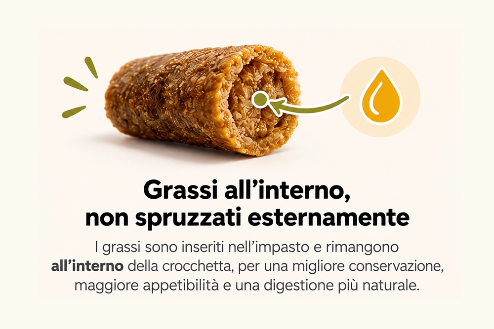 Grassi_all_interno
